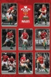 Wales R.U (Players) - plakat