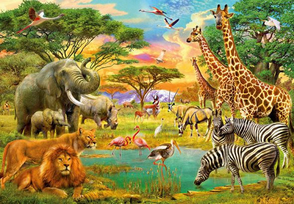 afryka, lew, słoń, zebra, flaming - fototapeta