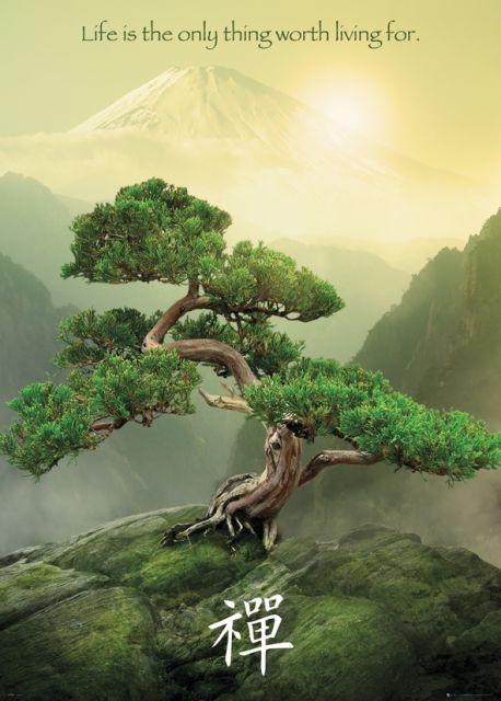plakat ''life is the only thing worth livingn for'' z drzewm bonsai w górach