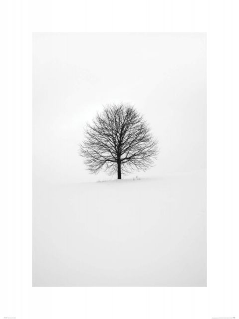 Zimowe drzewo - reprodukcja