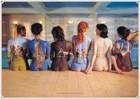 Pink Floyd (back) - plakat 61x91,5 cm