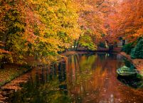 Jezioro w lesie jesienią - fototapeta