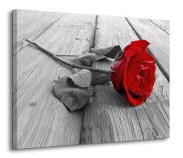 Róża na molo - Obraz na płótnie