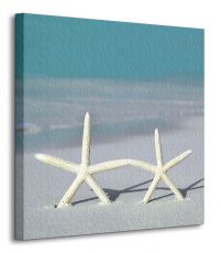 Rozgwiazdy na plaży - obraz na płótnie