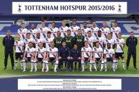 plakat drużynowy Tottenham Hotspur Team Photo 15/16