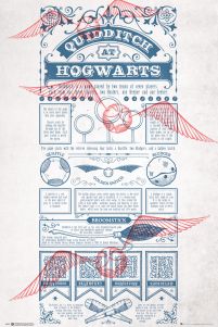 Harry Potter Quidditch At Hogwarts - plakat z filmu 61x91,5