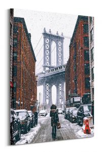 Zimowy Brooklyn - obraz na płótnie