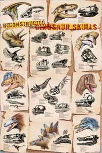 Dinosaur Skulls - plakat