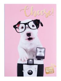 Studio Pets Dog Charlie - album na 36 zdjęć 10x15 cm