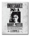 Obraz na płótnie przedstawiający list gończy za Harrym Potterem