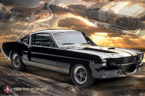 Ford Shelby Mustang 66 gt 350 plakat numer katalogowy GN0554 1490 z 