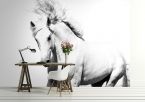 Piękny arabski koń na fototapecie papierowej