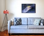 Ryba Murena na plakacie powieszonym w salonie nad kanapą