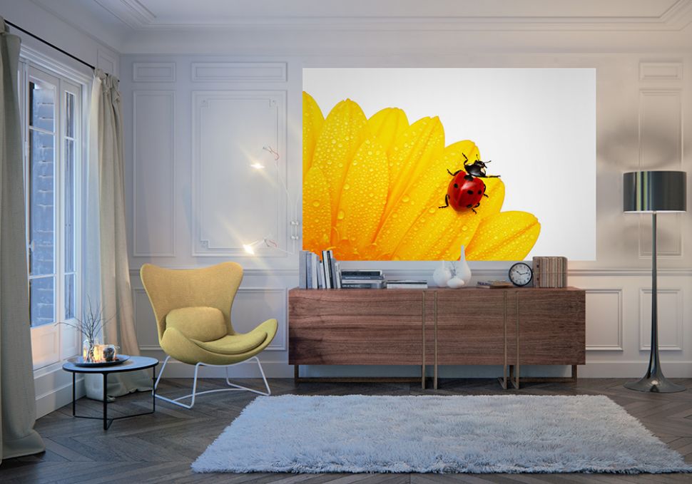 aranżacja fototapety z biedronką i żółtym kwiatkiem w białym pokoju nad sofą
