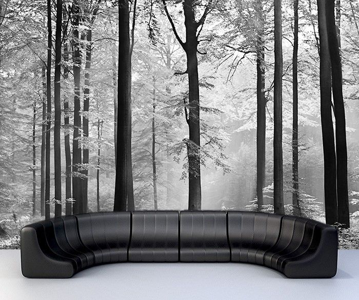 Aranżacja dużej czarno-białej fototapety przedstawiającej las