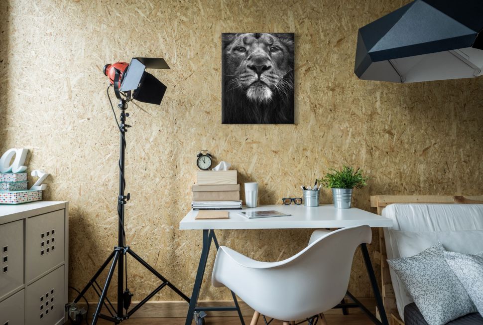 Biało-czarny obraz na płótnie przedstawiający majestatycznego lwa wiszący nad biurkiem