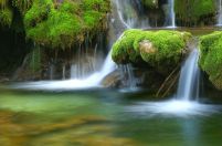 Leśny Wodospad - fototapeta
